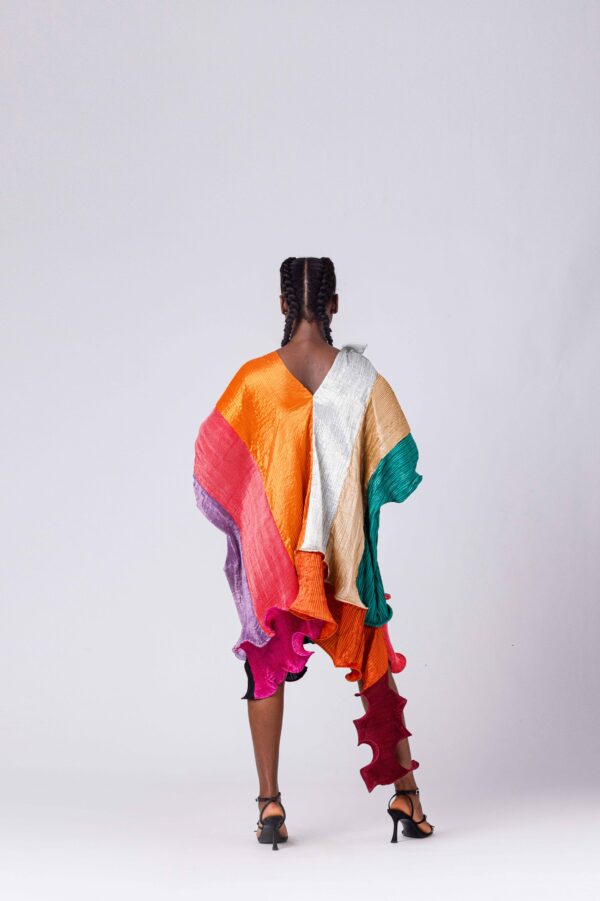 FRUCHE COQUET II DRESS - Image 2