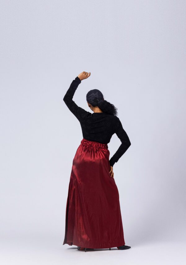 TZAR  ANYA MAXI SKIRT - Image 3