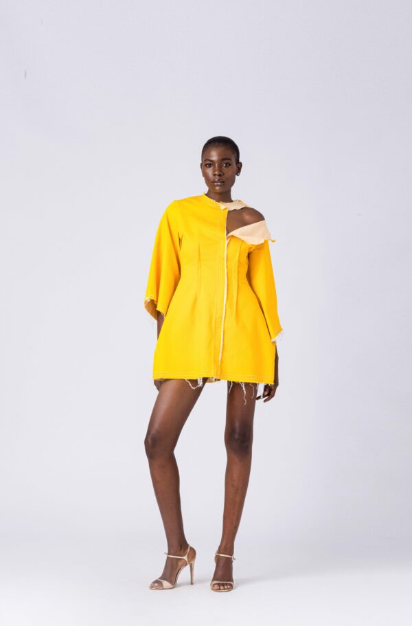 FRUCHE CITRON DRESS