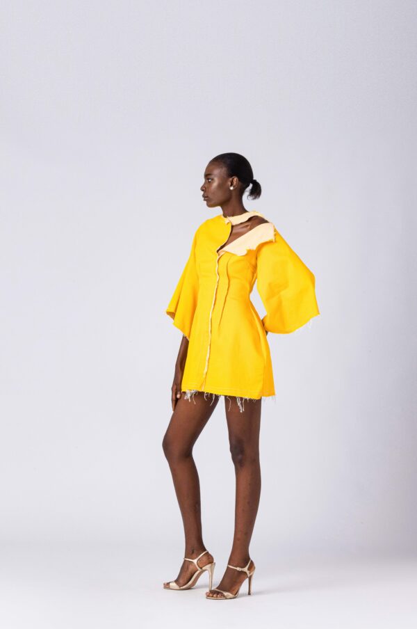 FRUCHE CITRON DRESS - Image 2