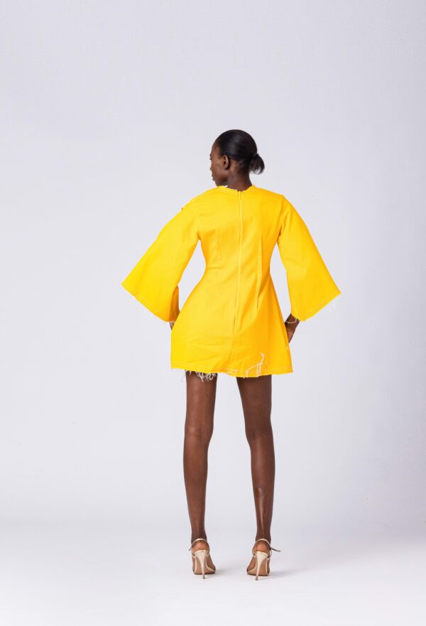 FRUCHE CITRON DRESS - Image 3